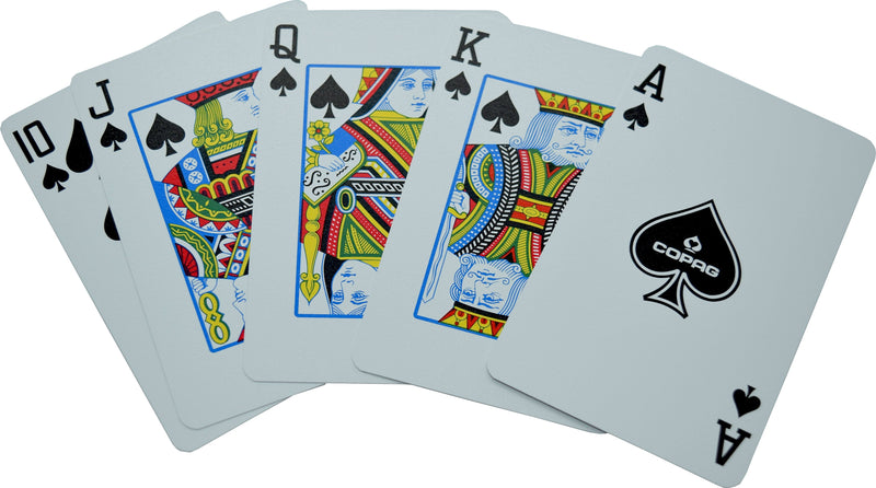 2017 Authentic Deck Dealt at WSOP Used Copag Plastic Playing Cards Bridge Size