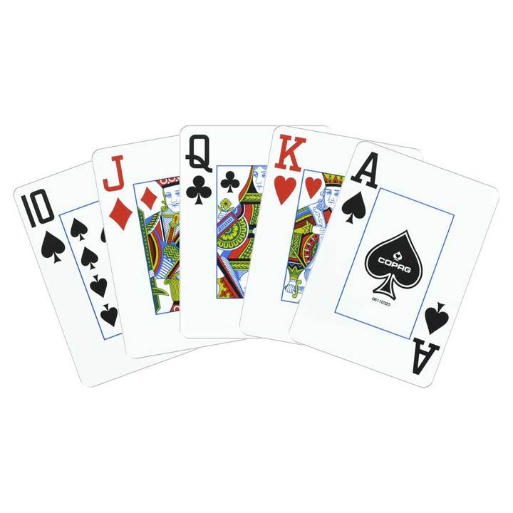 Copag 1546 Purple/Gray Poker Size 2 Deck Setup